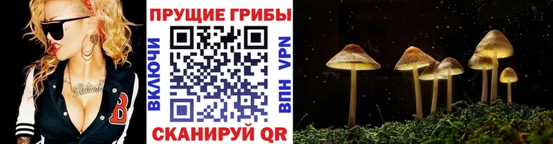 Купить где  Екатеринбург  Галлюциногенные грибы ЛСД 